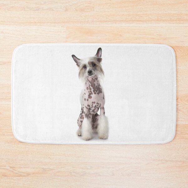 Item preview, Chinese Crested Dog - full face cute pets photo designed and sold by Coolstuff4you71.