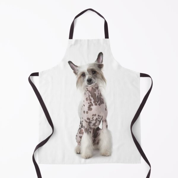 Item preview, Chinese Crested Dog - full face cute pets photo designed and sold by Coolstuff4you71.