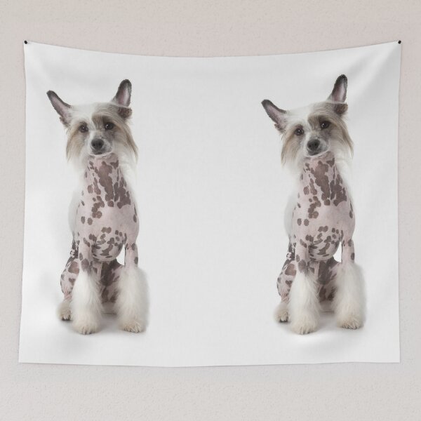 Item preview, Chinese Crested Dog - full face cute pets photo designed and sold by Coolstuff4you71.