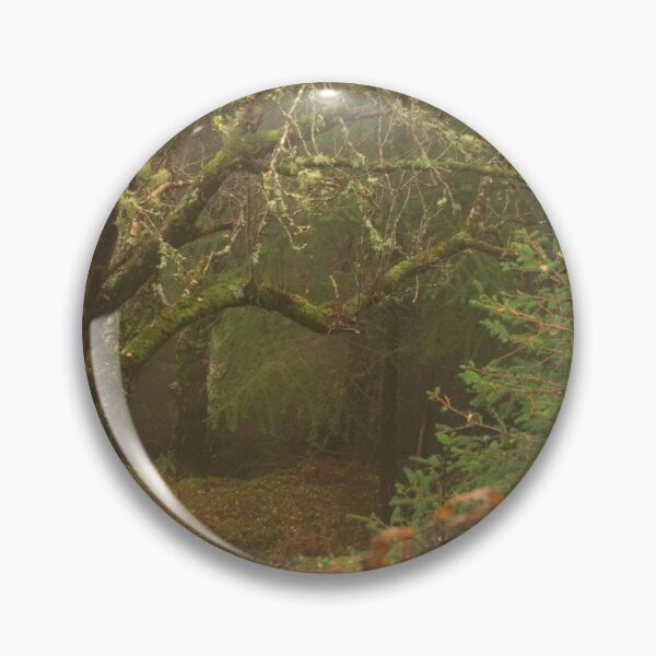 Item preview, Wizard's Tree  designed and sold by Macrae images.