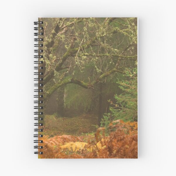 Item preview, Wizard's Tree  designed and sold by Macrae images.
