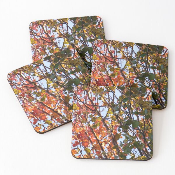 Item preview, Fall Leaves Photograph designed and sold by MNKee.