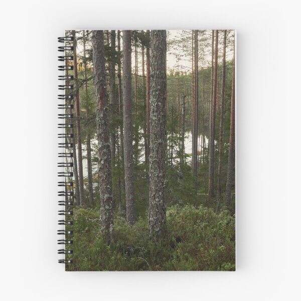 Item preview, Hietaslammi morning designed and sold by Jouko Lehto Photography.