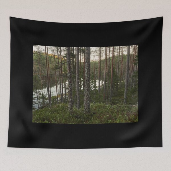 Item preview, Hietaslammi morning designed and sold by Jouko Lehto Photography.