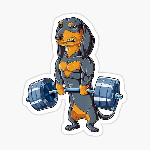 Funny Deadlifting Dachshund Bodybuilding and Gym Lover Sausage Dog Mom Gift Sticker