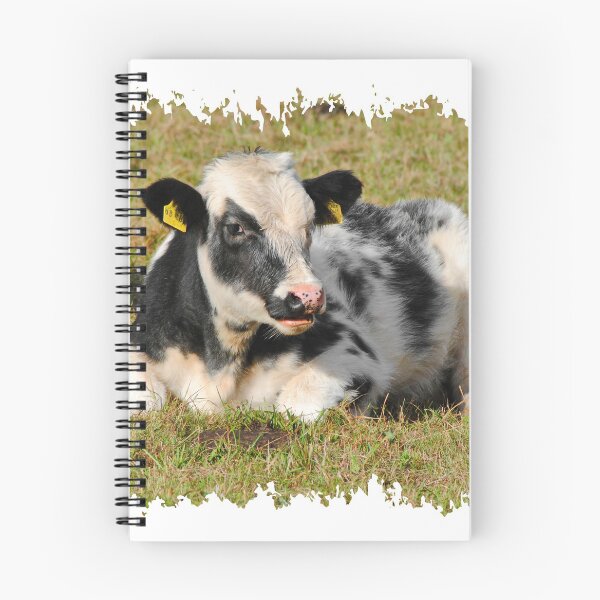 Item preview, Calves designed and sold by Glineur.