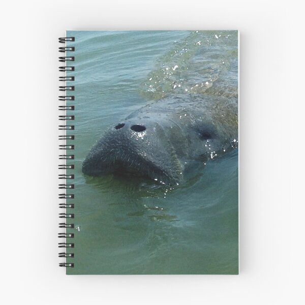 Item preview, Mister Manatee  designed and sold by MisterGroom.