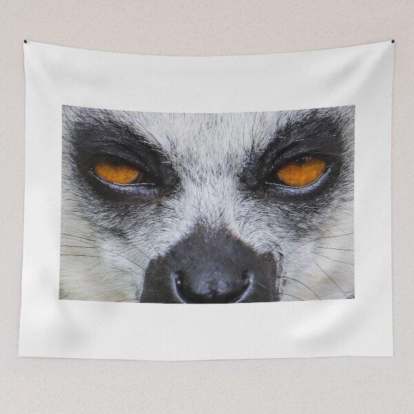 Item preview, Cute Ring Tailed Lemur Funny Madagascar Lemur designed and sold by . JustBeUnique ..