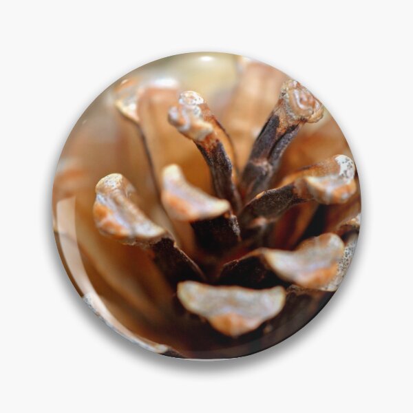 Artikelvorschau, Winter Pine Cone (natürliche Farbe) entworfen und verkauft von MarjorieB.