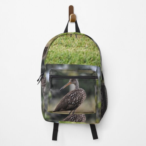 Item preview, Juvenile Anhinga on the Lookout designed and sold by Maria Keady.