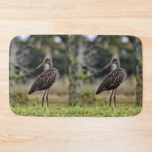 Item preview, Juvenile Anhinga on the Lookout designed and sold by Maria Keady.