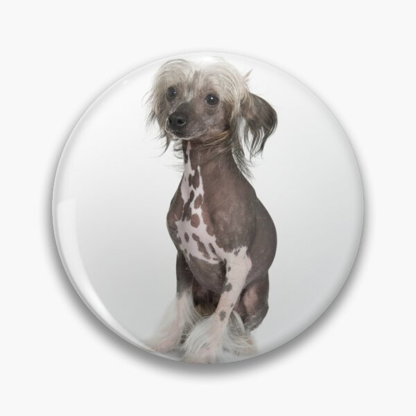 Item preview, Chinese Crested Dogs - full body pets cartoon cool dog designed and sold by Coolstuff4you71.