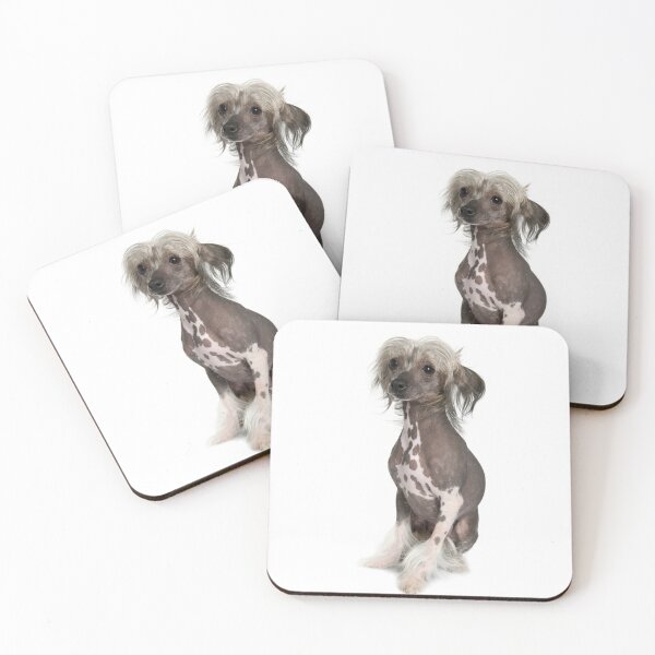 Item preview, Chinese Crested Dogs - full body pets cartoon cool dog designed and sold by Coolstuff4you71.