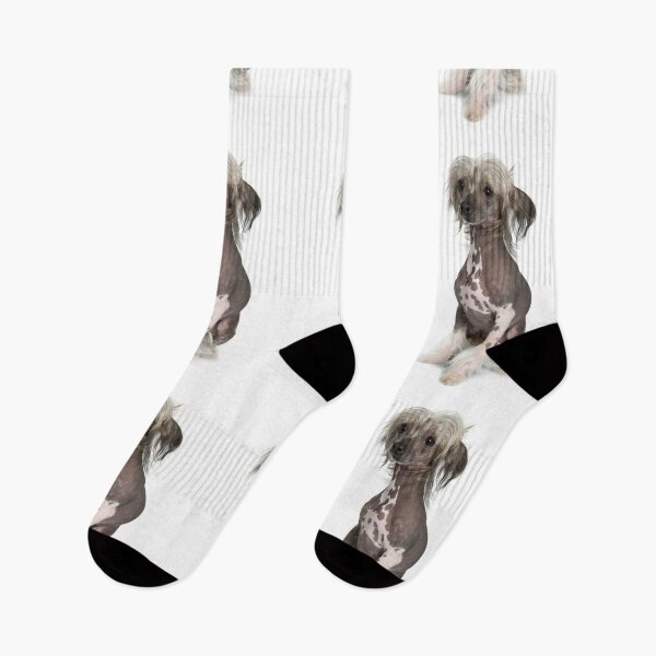 Item preview, Chinese Crested Dogs - full body pets cartoon cool dog designed and sold by Coolstuff4you71.