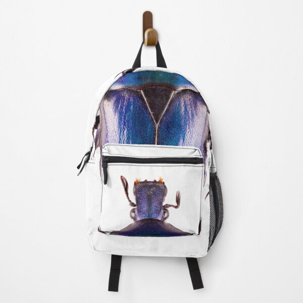 Item preview, Scarab Beetle (Torynorrhina flammea) designed and sold by Tim Christensen.