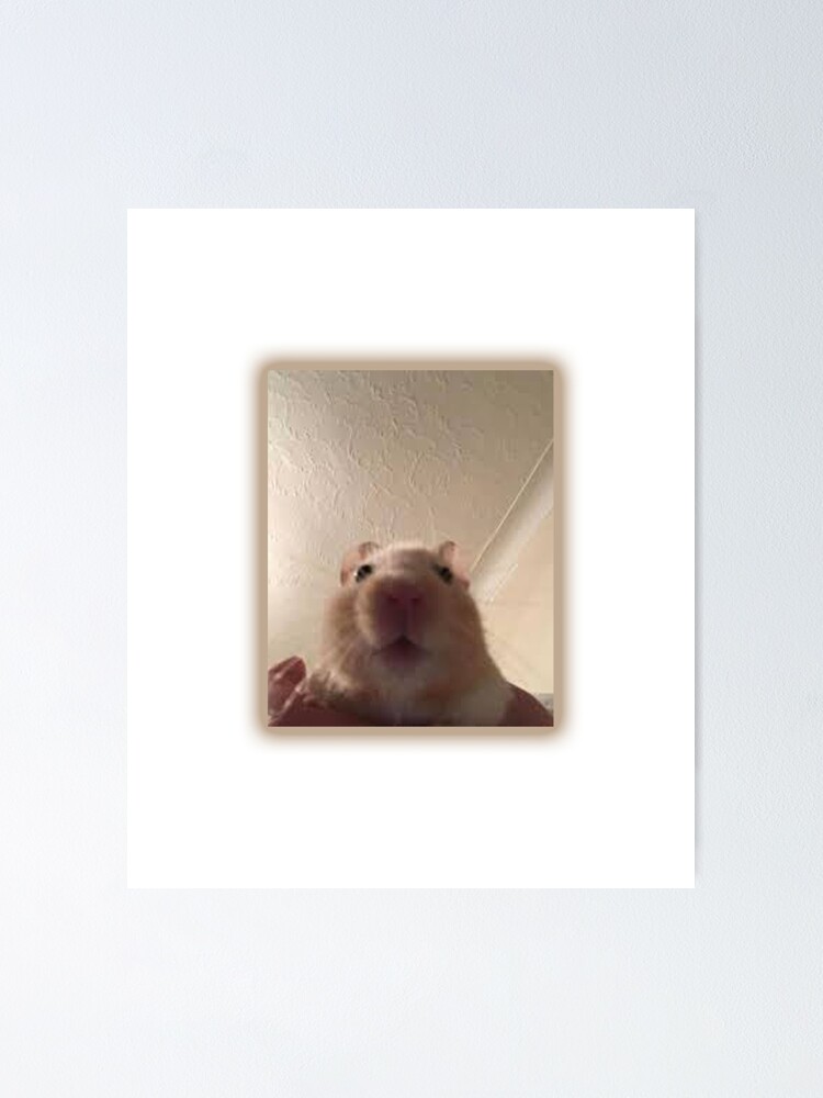 "Facetime Hamster" Poster for Sale by artme10 Redbubble
