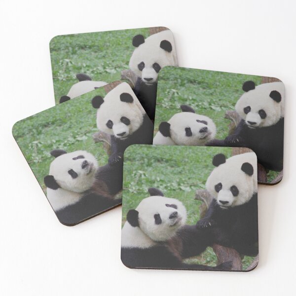 Item preview, Giant Pandas Tian Tian and Mei Xiang at the National Zoo designed and sold by Zoo and Nature Photography by Karie.
