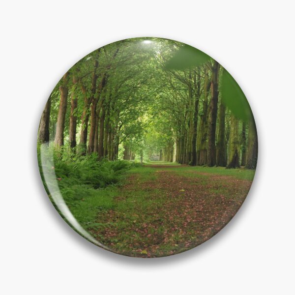 Item preview, Enchanting forest lane. designed and sold by wineandwords.