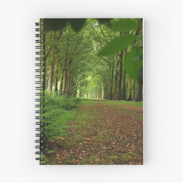 Item preview, Enchanting forest lane. designed and sold by wineandwords.