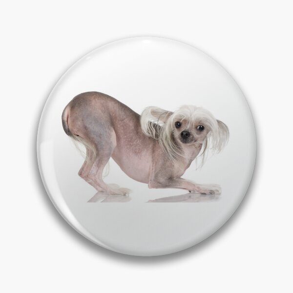 Item preview, Chinese Crested Dogs - full body pets sexy dog designed and sold by Coolstuff4you71.