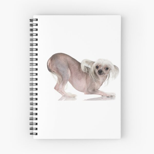 Item preview, Chinese Crested Dogs - full body pets sexy dog designed and sold by Coolstuff4you71.