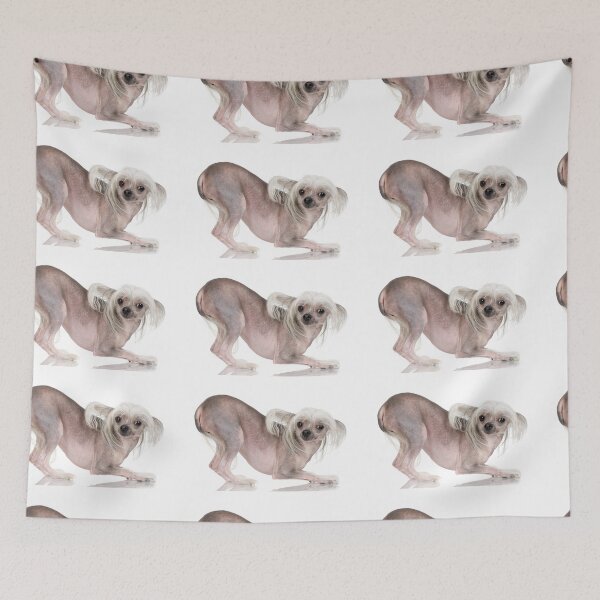 Item preview, Chinese Crested Dogs - full body pets sexy dog designed and sold by Coolstuff4you71.