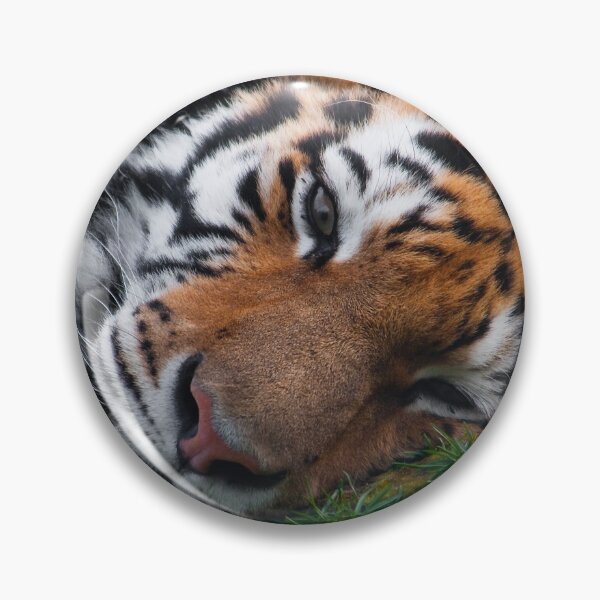 Item preview, Tigre siberiano soñoliento designed and sold by Rick Nicholas.