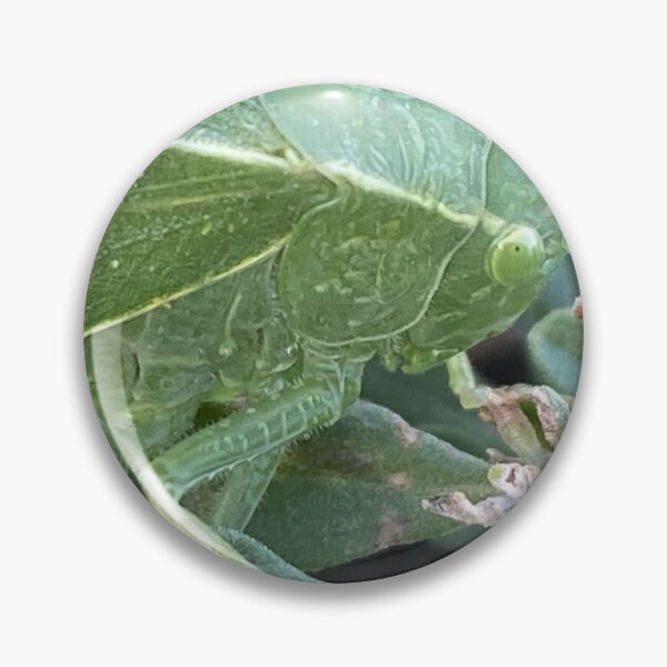 Item preview, Francine The Leafhopper  designed and sold by pinkyjainpan.