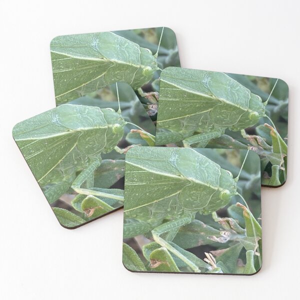 Item preview, Francine The Leafhopper  designed and sold by pinkyjainpan.