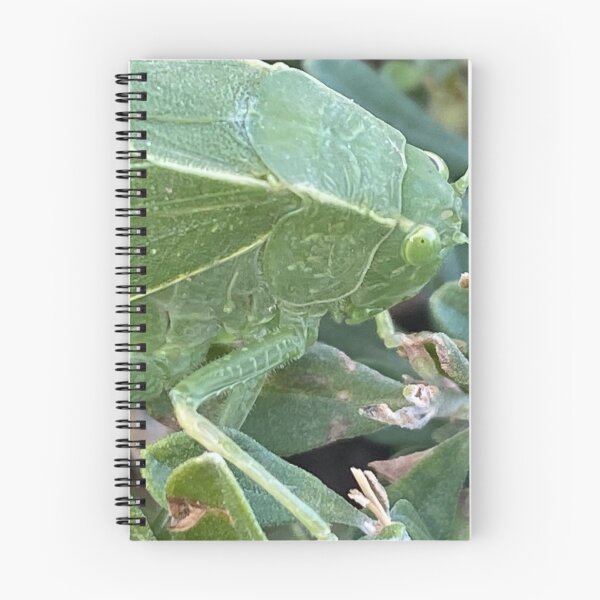 Item preview, Francine The Leafhopper  designed and sold by pinkyjainpan.