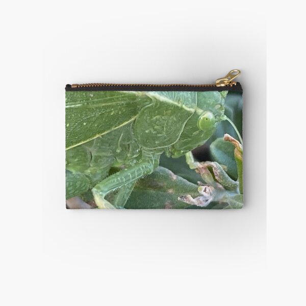 Item preview, Francine The Leafhopper  designed and sold by pinkyjainpan.