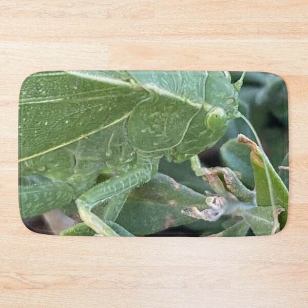 Item preview, Francine The Leafhopper  designed and sold by pinkyjainpan.