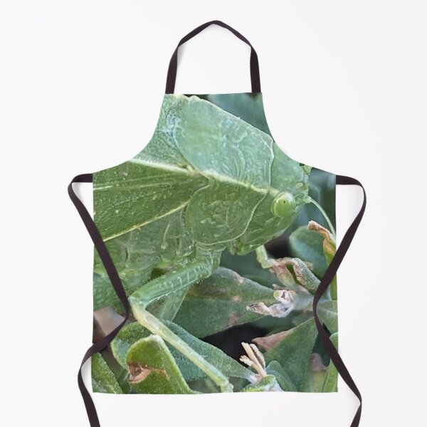 Item preview, Francine The Leafhopper designed and sold by pinkyjainpan.