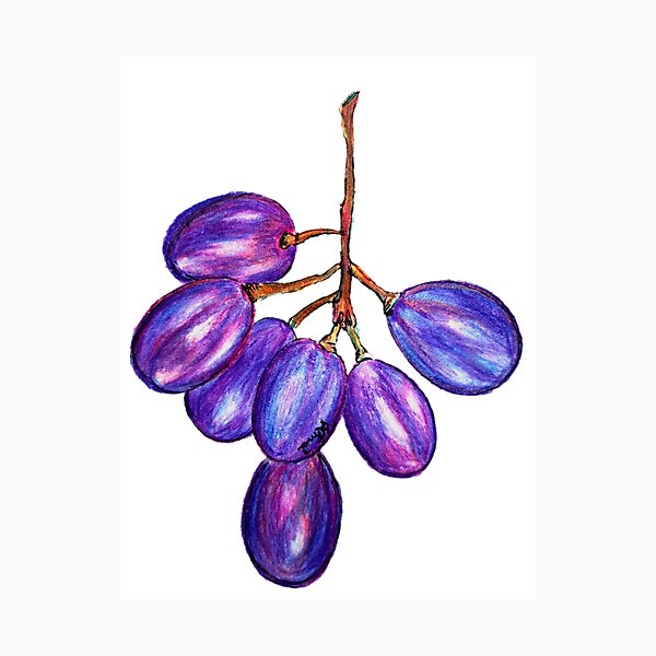 Item preview, Grapes designed and sold by CanDo20.