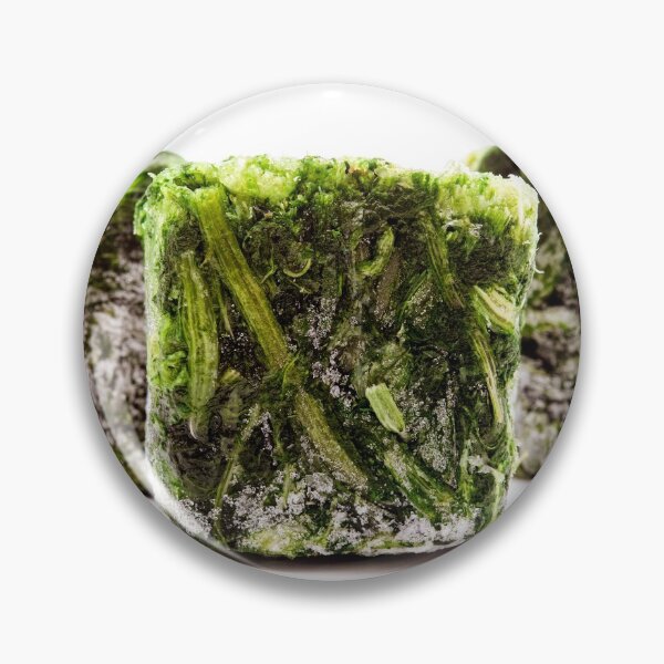 Item preview, Frozen spinach cubes designed and sold by troianifabrizio.