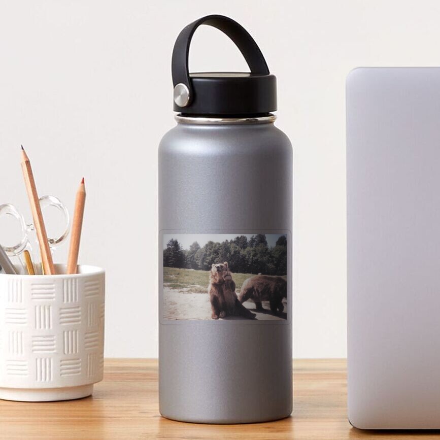 Big Brown Bear Sticker