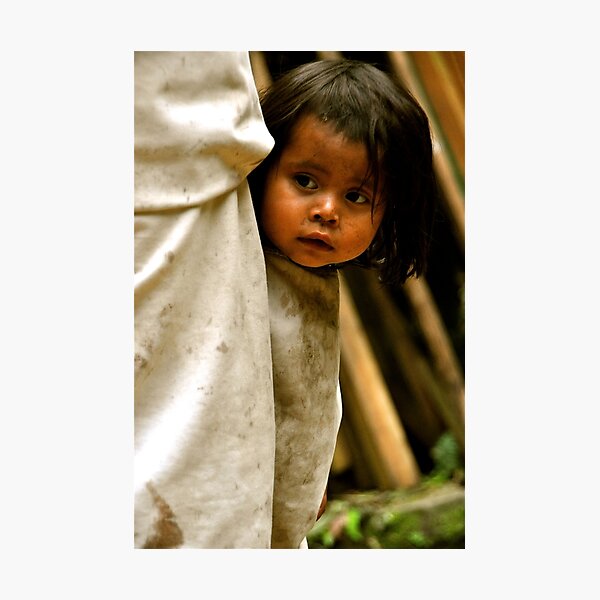 Timid Curiosity Photographic Print