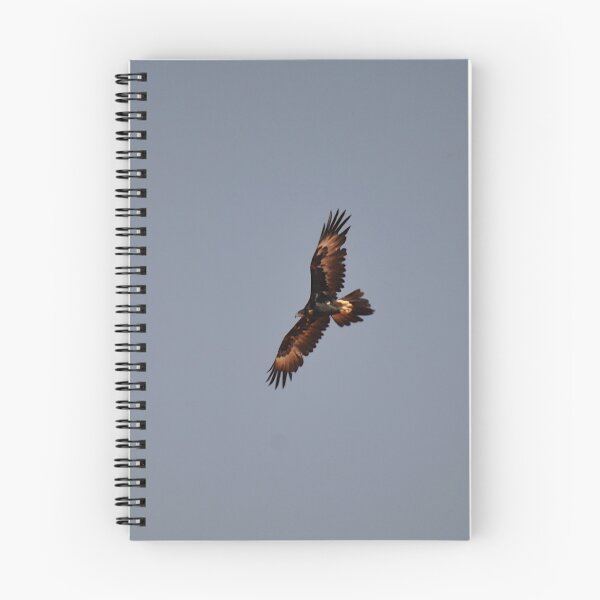 Item preview, Eagle Flying, Stuart Highway, Australia 20190910 designed and sold by muz2142.