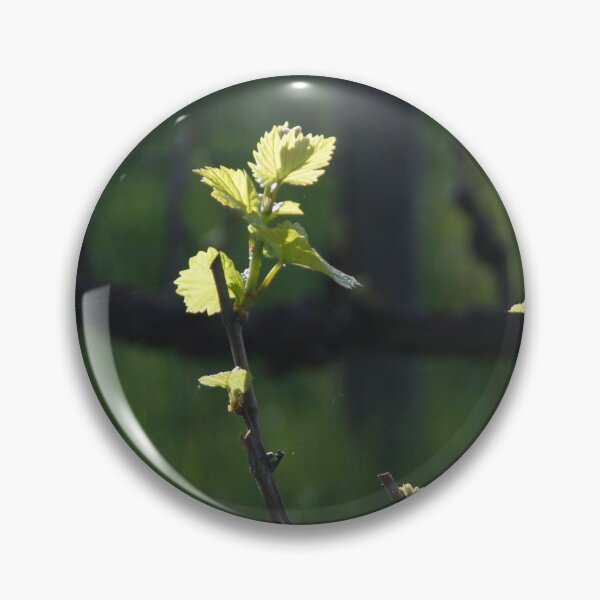 Item preview, Vines Awake by Adelaide Artist Avril Thomas at Magpie Springs designed and sold by MagpieSprings.