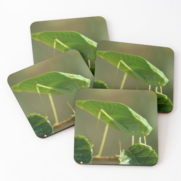 Item preview, Katydid on Leaf designed and sold by Artsomesauce.