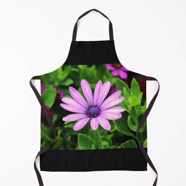 Item preview, Purple Osteospermum designed and sold by anitahiltz.