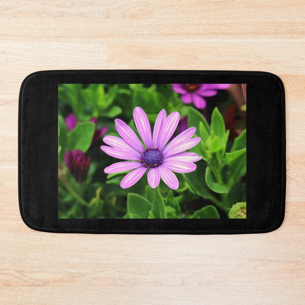 Item preview, Purple Osteospermum designed and sold by anitahiltz.