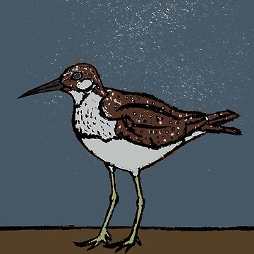 Artwork thumbnail, Spotted Sandpiper, a small shore bird by kittenry