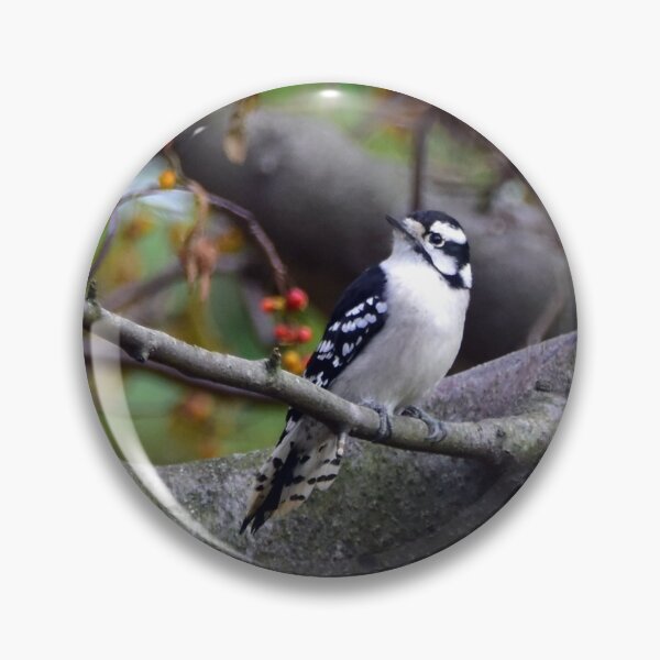 Item preview, Woodpecker designed and sold by Maureen Zaharie.