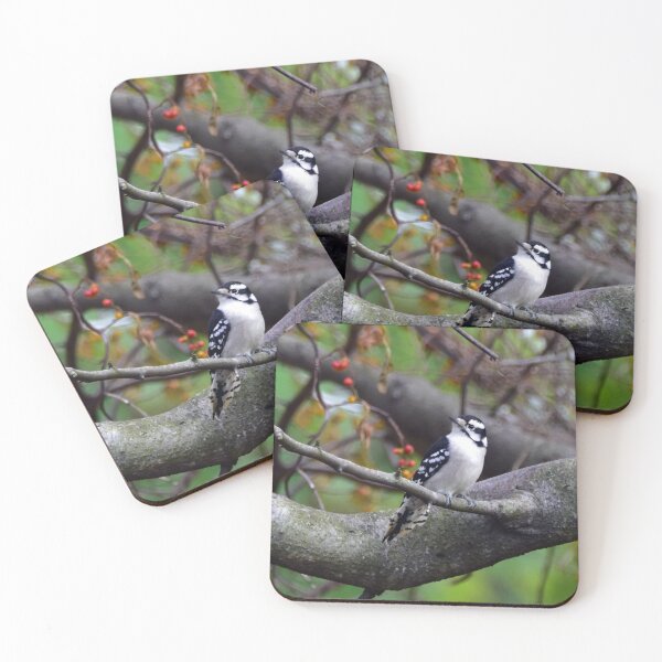 Item preview, Woodpecker designed and sold by Maureen Zaharie.