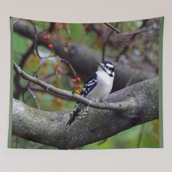Item preview, Woodpecker designed and sold by Maureen Zaharie.