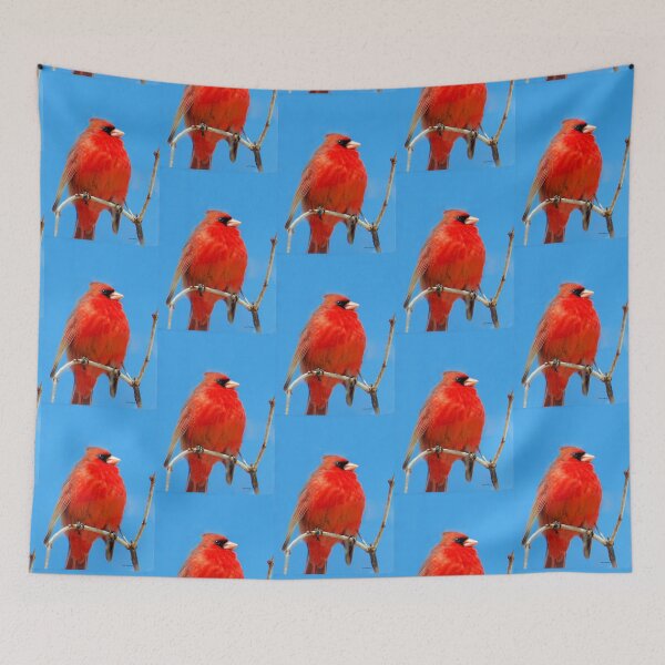 Item preview, Proud Cardinal designed and sold by Crystal Wightman.