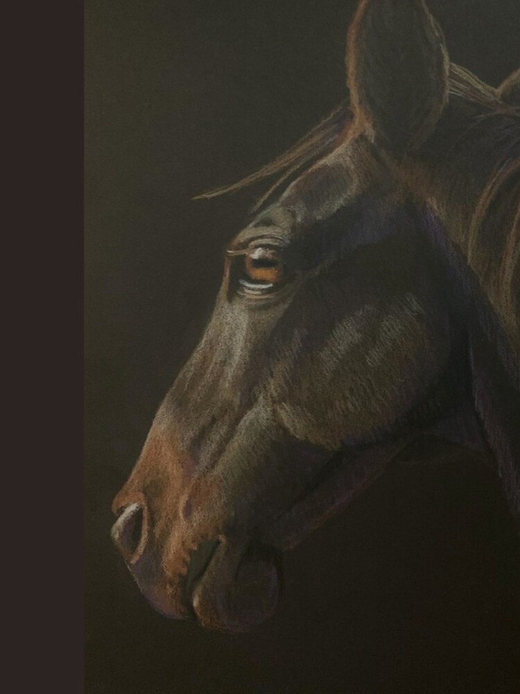 Quarter Horse by WyoClements