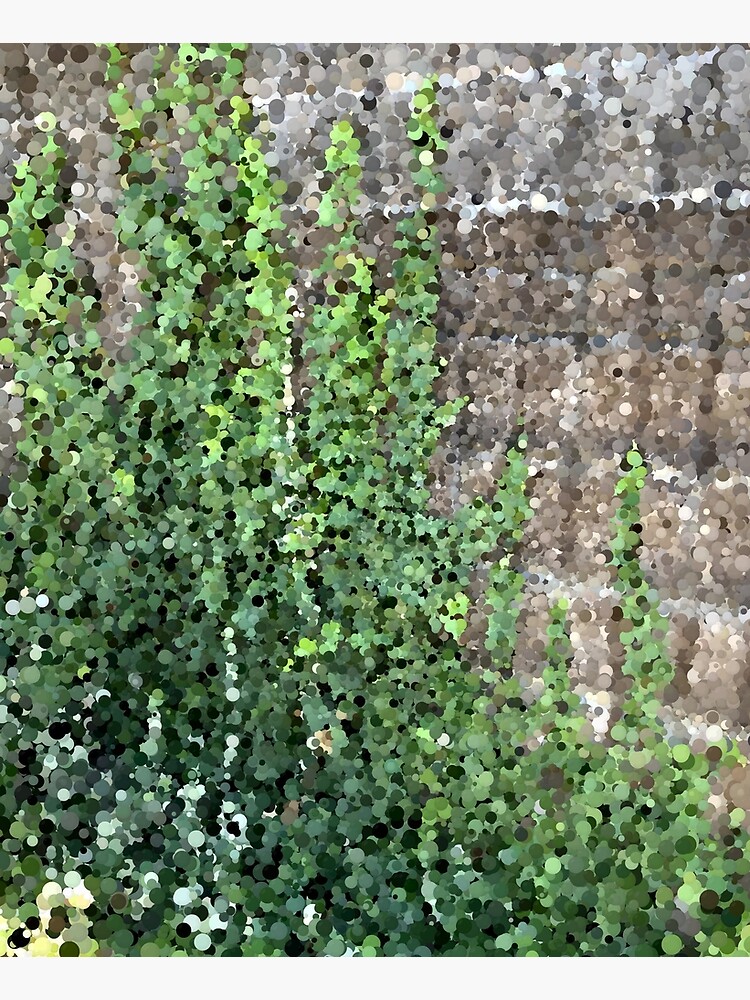 Climbing Plant on Stone Wall by MathenaArt