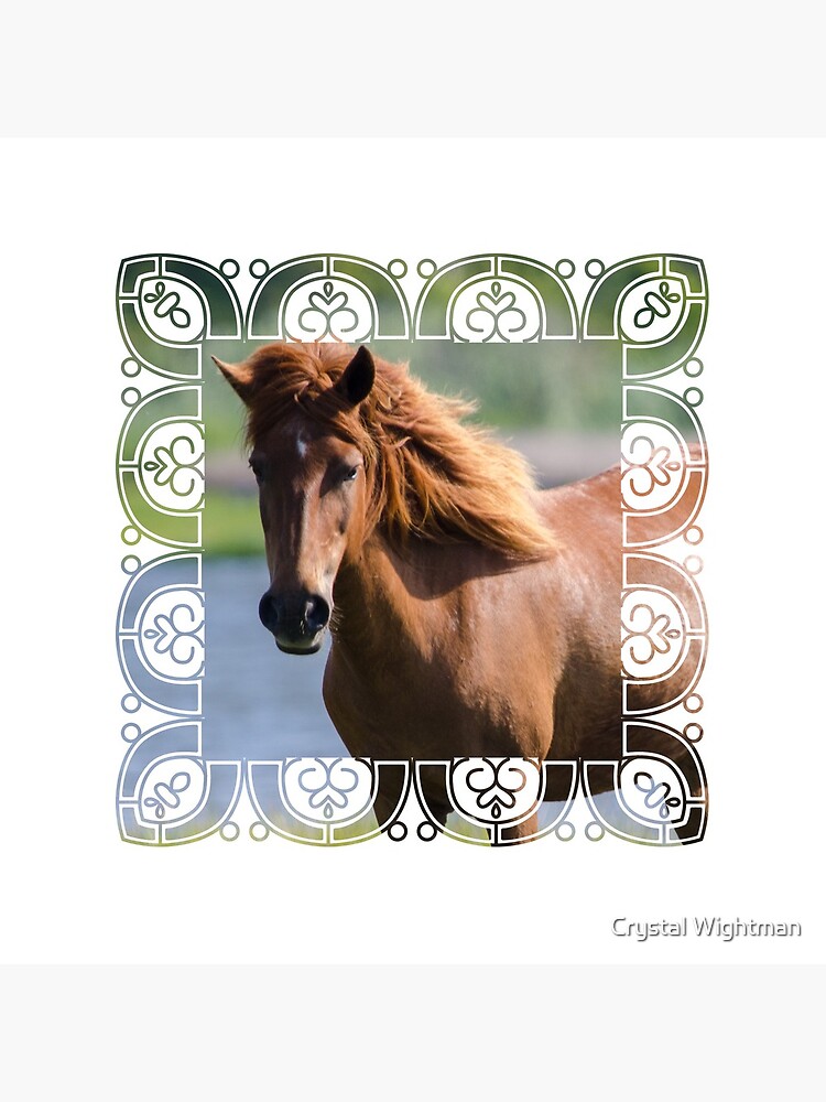 Horse by CrystalWphoto